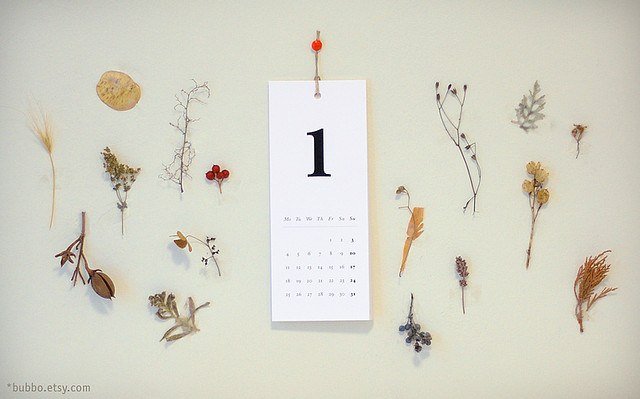 3918527188_7d9232ff11_z