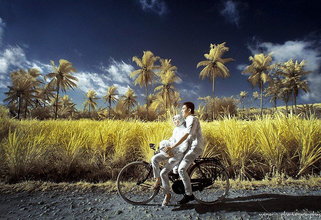 indonesia travel on a college budget