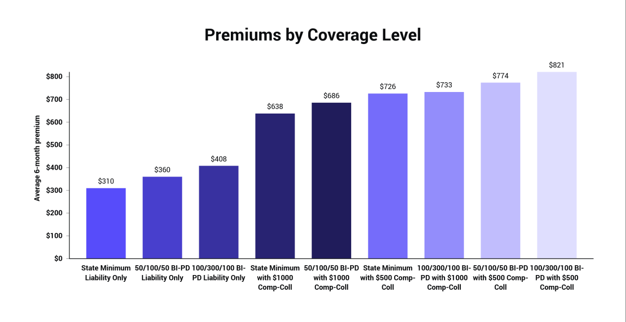 Premiums by Coverage Level.png