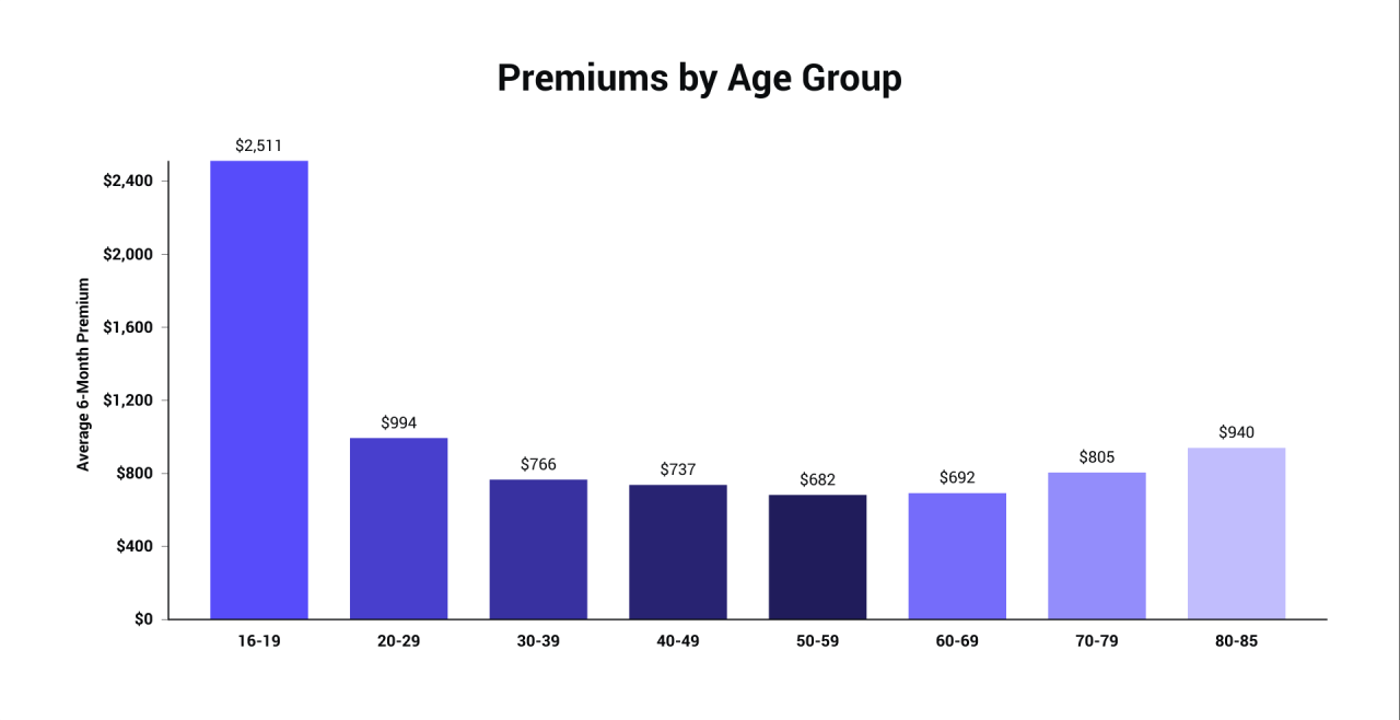 agegroups_averagepremiums.png