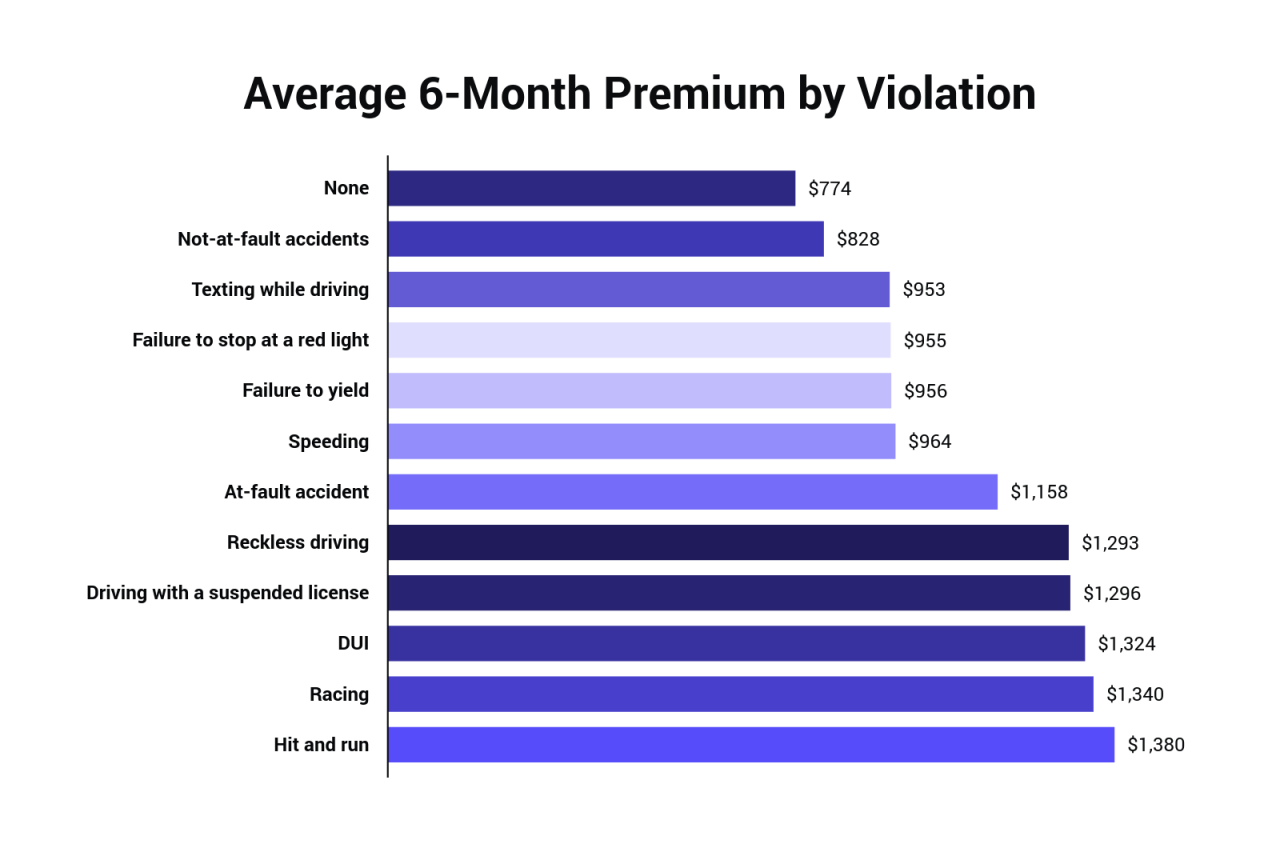 Average 6-Month Premium by Violation.png