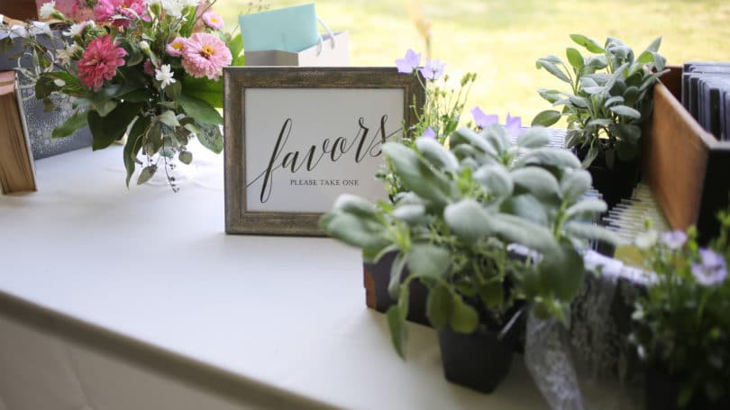 Cultivar plantas en macetas