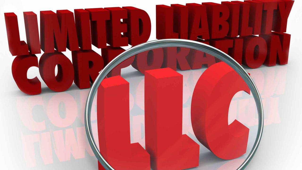 LLC sociedad de responsabilidad limitada