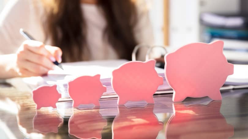 Ahorro de planificación financiera Aumento del crecimiento de los cerdos