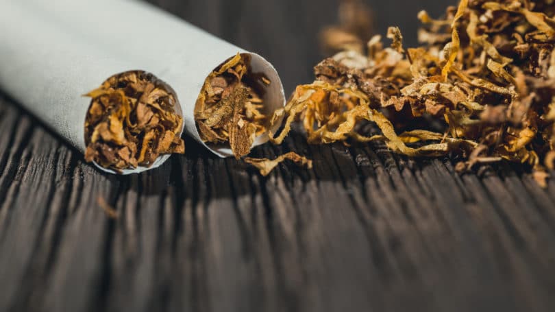 Cigarrillo de nicotina de tabaco