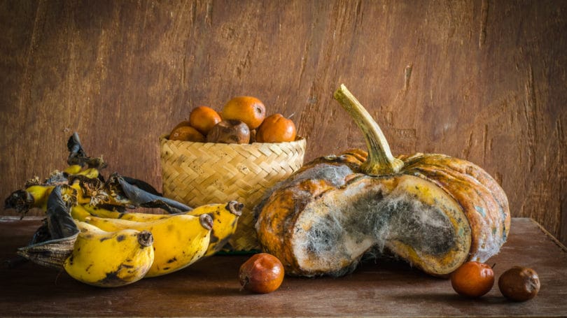 Alimentos Caducados desperdiciados Calabaza Plátano podrido