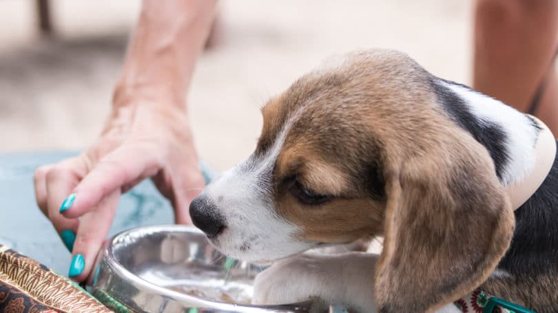 Recipientes de agua aprobados