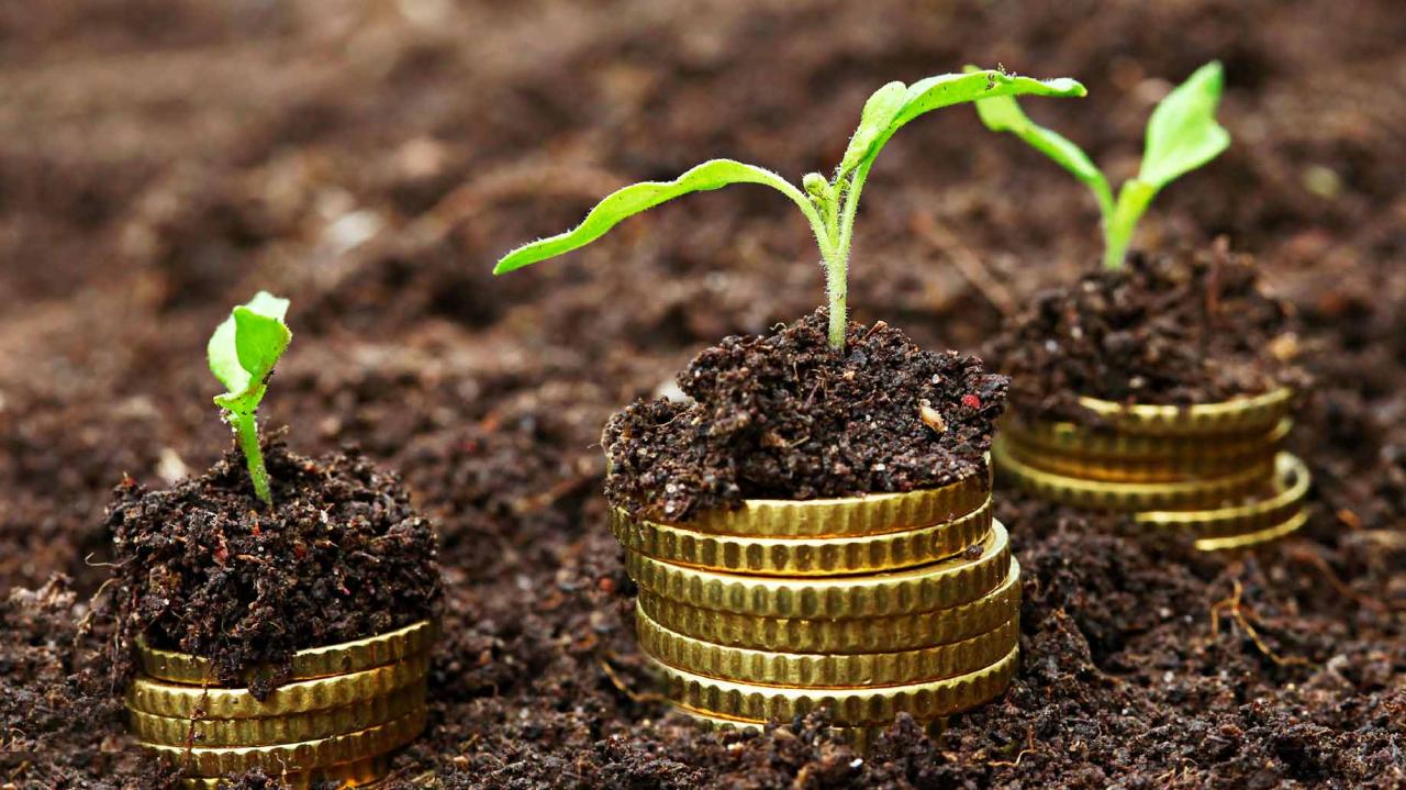 dinero monedas ahorros ganando intereses