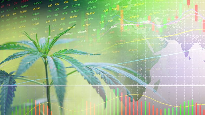 Invertir en acciones de cannabis marihuana
