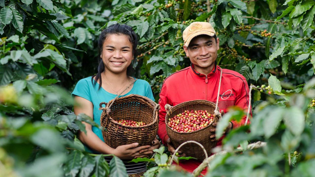 chica seria que trabaja en la cafetería haciendo café