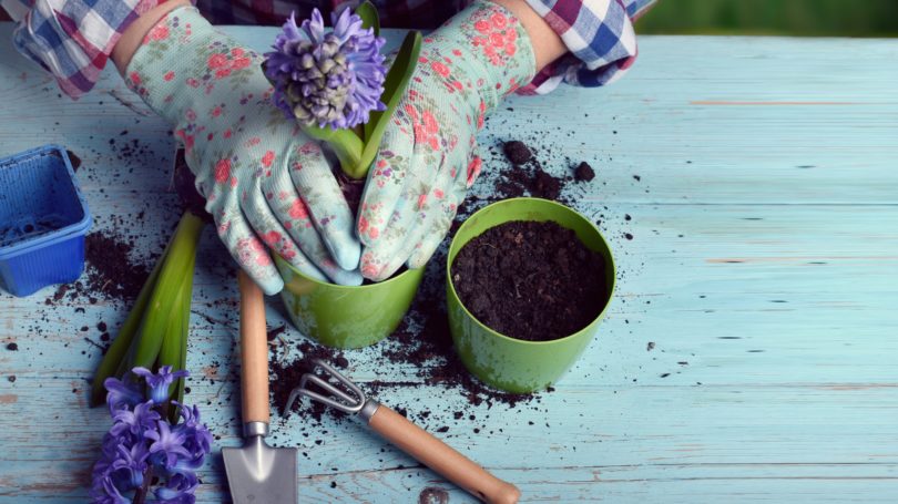 Mujer jardinería plantar flores en el patio de la olla